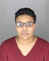 MADISON MARIE SAENZWITT Mugshot / Oakland County MI Arrests / Oakland County Michigan Arrests