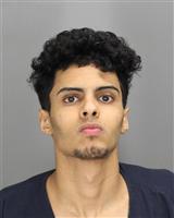 HESHAM ADNAN ALMONTESAR Mugshot / Oakland County MI Arrests / Oakland County Michigan Arrests