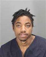 OLLIE JAMES WILLIAMS Photo / OLLIE JAMES WILLIAMS Images