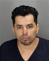 EDY  CASTROPASTRAN Photo / EDY  CASTROPASTRAN Images