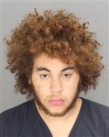 AUSTIN LEE SANDRIDGE Photo / AUSTIN LEE SANDRIDGE Images