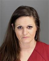 MEGAN MARIE COTE Mugshot / Oakland County MI Arrests / Oakland County Michigan Arrests