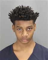 TREONTE  BRINTLEY Mugshot / Oakland County MI Arrests / Oakland County Michigan Arrests