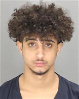 ALFHED MAJED WAGDI Mugshot / Oakland County MI Arrests / Oakland County Michigan Arrests