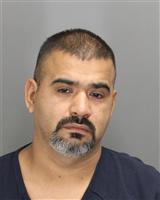 RODOLFO  LONGORIATREVINO Mugshot / Oakland County MI Arrests / Oakland County Michigan Arrests