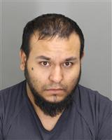 HUGO FERNANDO ORTIZ Mugshot / Oakland County MI Arrests / Oakland County Michigan Arrests