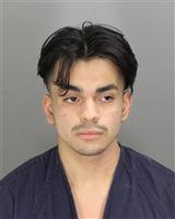 XAVIER ANGEL SANCHEZ Mugshot / Oakland County MI Arrests / Oakland County Michigan Arrests