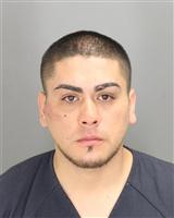 BRUNO ALEJANDRO MOYANO Mugshot / Oakland County MI Arrests / Oakland County Michigan Arrests