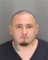 ROBERT TED NORMAN Photo / ROBERT TED NORMAN Images