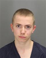 ASHTON ALLENWALKER MEFF Mugshot / Oakland County MI Arrests / Oakland County Michigan Arrests