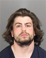 EJ STEPHAN CHEESEMAN Mugshot / Oakland County MI Arrests / Oakland County Michigan Arrests