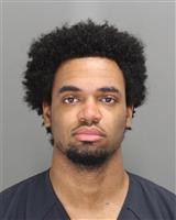 DARIUS WILLIAM ANDERSON Photo / DARIUS WILLIAM ANDERSON Images