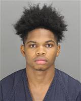 STEVEN ARNELL GASTON Photo / STEVEN ARNELL GASTON Images