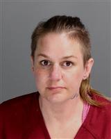 JESSICA LEE SOWA Mugshot / Oakland County MI Arrests / Oakland County Michigan Arrests