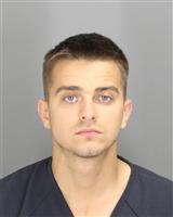 ALEXANDRU MIHAI VIU Mugshot / Oakland County MI Arrests / Oakland County Michigan Arrests