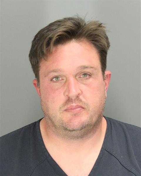 DENNIS SEAN APICE Mugshot / Oakland County MI Arrests / Oakland County Michigan Arrests