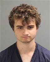 NOAH DANIEL STIEL Mugshot / Oakland County MI Arrests / Oakland County Michigan Arrests