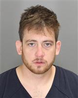 DAVID JAMESWILLIAM SLOAN Mugshot / Oakland County MI Arrests / Oakland County Michigan Arrests