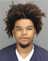 NATHAN JEREMIAH ROBINSON Mugshot / Oakland County MI Arrests / Oakland County Michigan Arrests