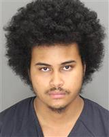 JORDAN CHRISTOPHER GOODSON Mugshot / Oakland County MI Arrests / Oakland County Michigan Arrests