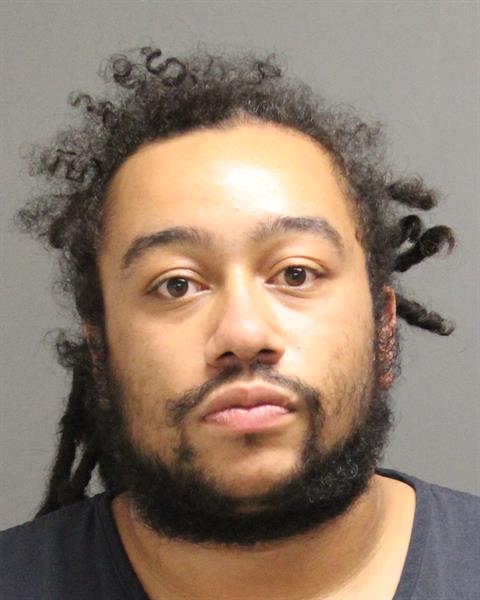 DYLLON EDWIN GEORGE Mugshot / Oakland County MI Arrests / Oakland County Michigan Arrests