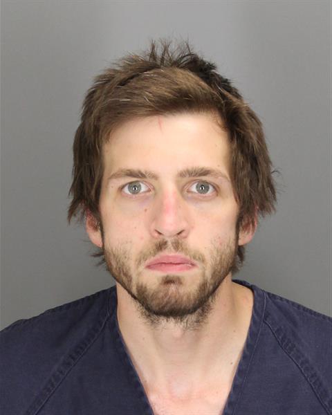 PATRICK ERIN MURPHY Photo / PATRICK ERIN MURPHY Images