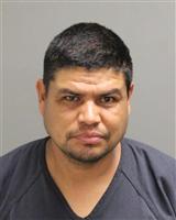 PEDRO  SALCEDO Mugshot / Oakland County MI Arrests / Oakland County Michigan Arrests