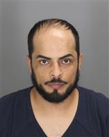 WADIA HEVTHALALALI SALEH Mugshot / Oakland County MI Arrests / Oakland County Michigan Arrests