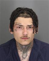 DOMINIC CURTIS BIANCHI Photo / DOMINIC CURTIS BIANCHI Images