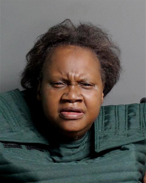 TERRI TIJUANA TYSON Mugshot / Oakland County MI Arrests / Oakland County Michigan Arrests