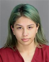 ALICIA LIZETTE IBARRA Mugshot / Oakland County MI Arrests / Oakland County Michigan Arrests