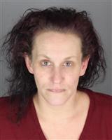 AMY NICHOLE LUBBERS Mugshot / Oakland County MI Arrests / Oakland County Michigan Arrests