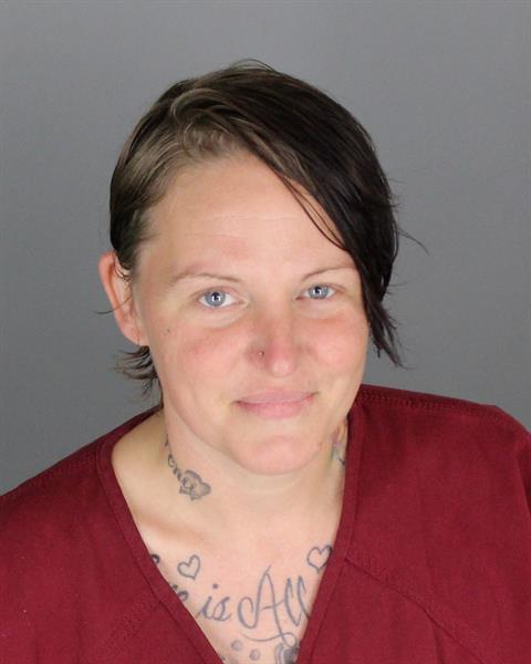 JAMIE LYNN BLEDSOE Mugshot / Oakland County MI Arrests / Oakland County Michigan Arrests