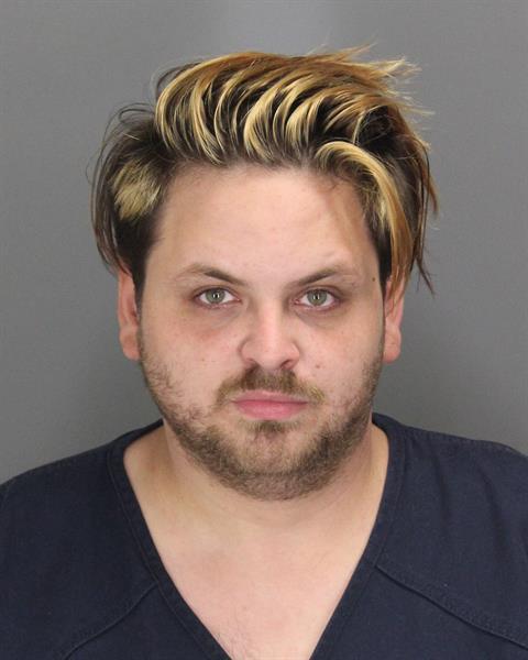 THOMAS AARON NIERMAN Mugshot / Oakland County MI Arrests / Oakland County Michigan Arrests