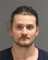 DYLAN DOUGLAS EDWARDS Mugshot / Oakland County MI Arrests / Oakland County Michigan Arrests