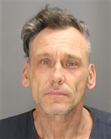 RAYMOND ANDREW BRZOZOWSKI Mugshot / Oakland County MI Arrests / Oakland County Michigan Arrests